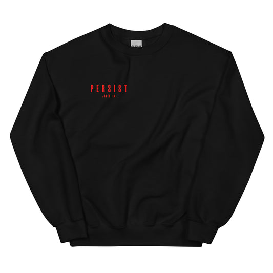 Front & Back Persist Sweater